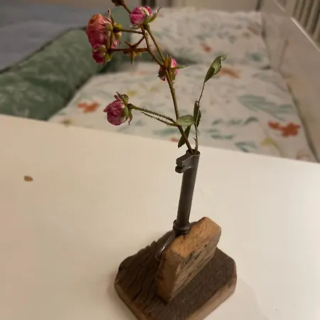 Zimmer Emmer, Ein Zimmer In Fewo Mit Zwei Zimmern