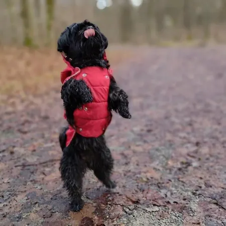 Emmer, Ein In Mit Zwei Zimmern 아파트 슈나이더슈발렌베르크