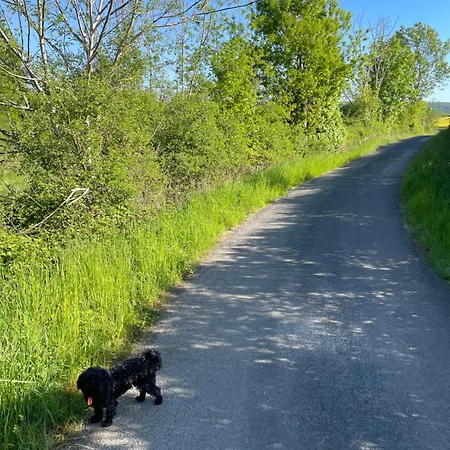 아파트 Emmer, Ein In Mit Zwei Zimmern 슈나이더슈발렌베르크