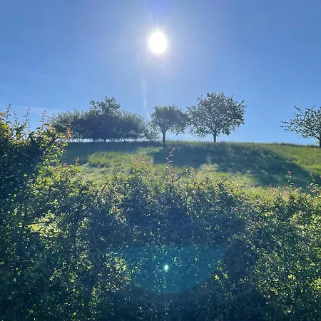 Emmer, Ein In Mit Zwei Zimmern Schieder-Schwalenberg