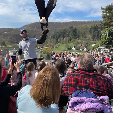 아파트 Emmer, Ein In Mit Zwei Zimmern