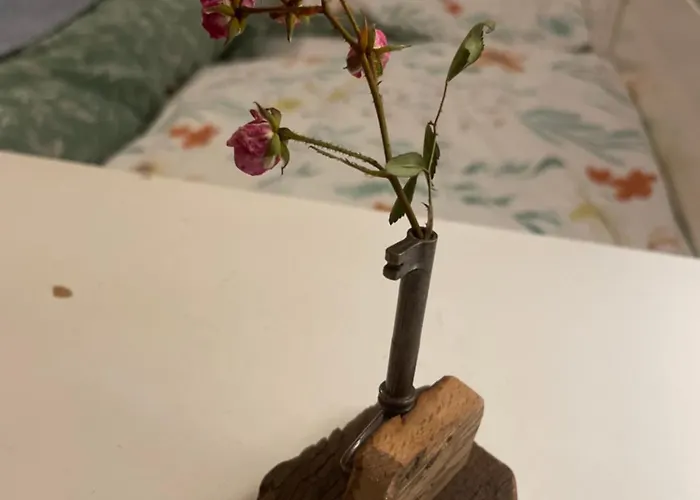 Emmer, Ein In Mit Zwei Zimmern