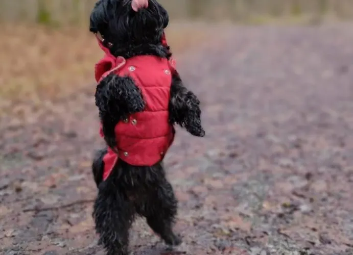 Emmer, Ein In Mit Zwei Zimmern 公寓 席德尔·施瓦伦贝尔