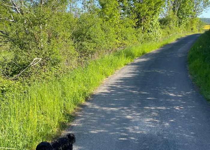 公寓 Emmer, Ein In Mit Zwei Zimmern 席德尔·施瓦伦贝尔