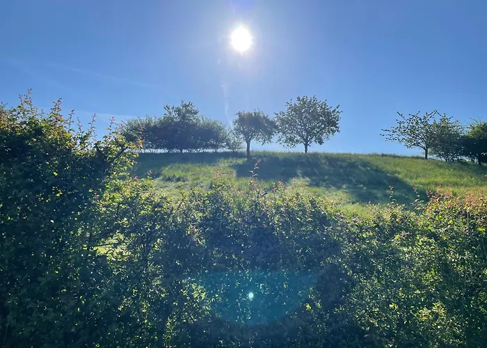 Emmer, Ein In Mit Zwei Zimmern Schieder-Schwalenberg