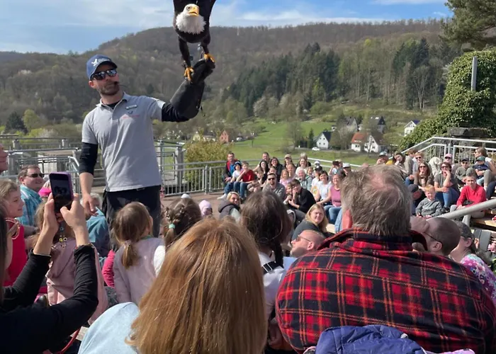 公寓 Emmer, Ein In Mit Zwei Zimmern